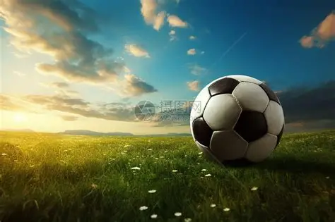 开云·体育（官网）KAIYUN SPORTS