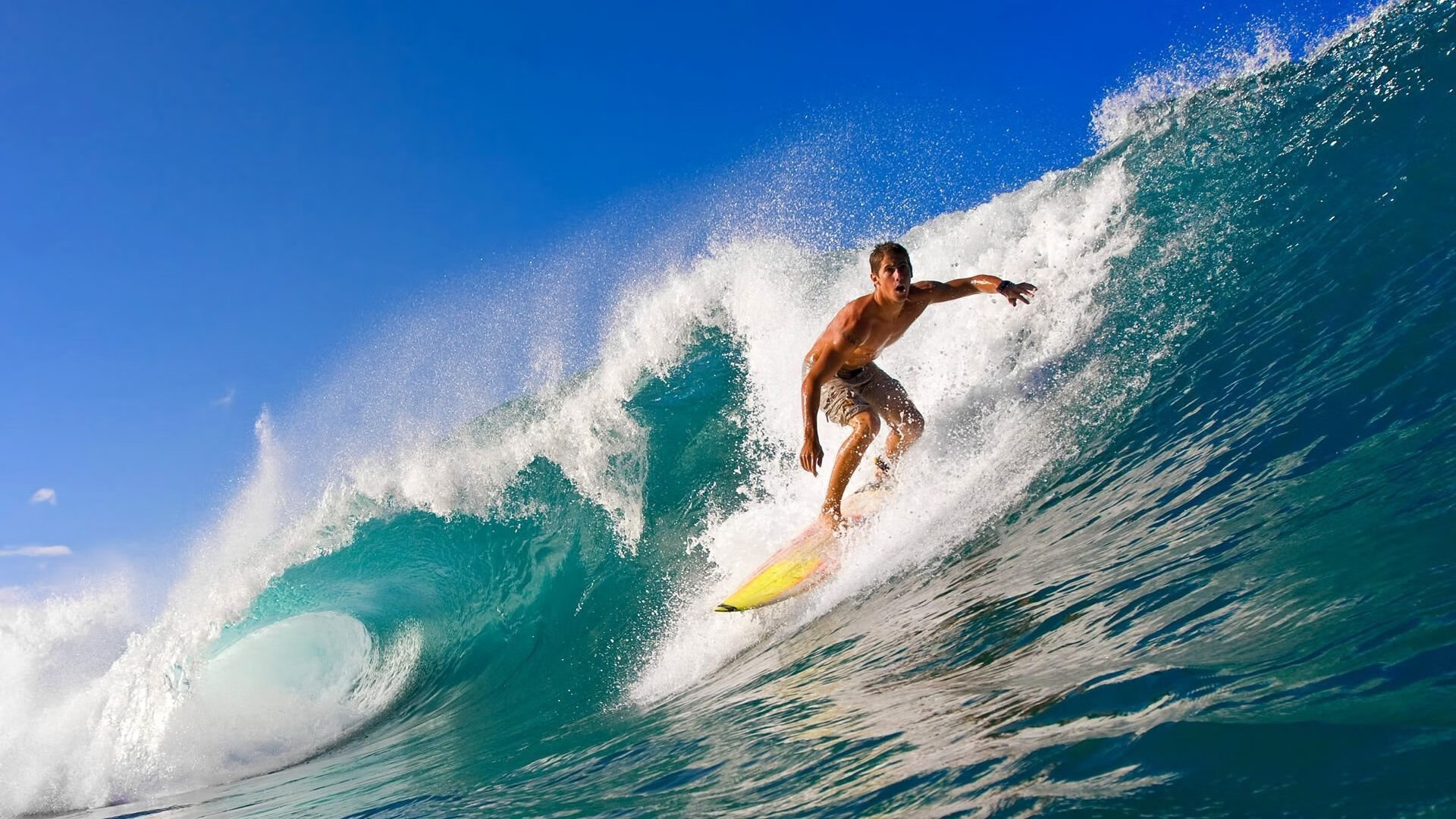 开云体育平台-S16消息引爆外网：北美赛区终于扬眉吐气了，北美赛区s11