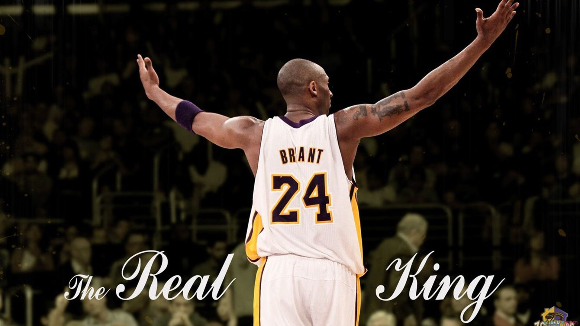 开云ky官网-《Apex Legends》新版本平衡调整，战术丰富度提升，apexping值不稳